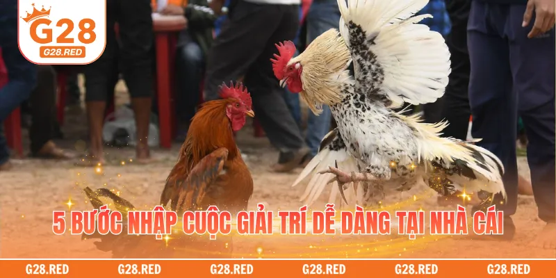 5 bước nhập cuộc giải trí dễ dàng tại nhà cái