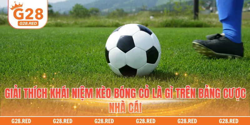 Giải thích khái niệm kèo bóng cỏ là gì trên bảng cược nhà cái