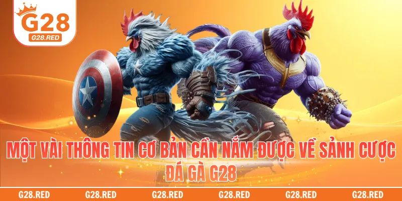 Một vài thông tin cơ bản cần nắm được về sảnh cược đá gà G28