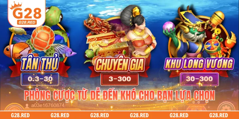Phòng cược từ dễ đến khó cho bạn lựa chọn