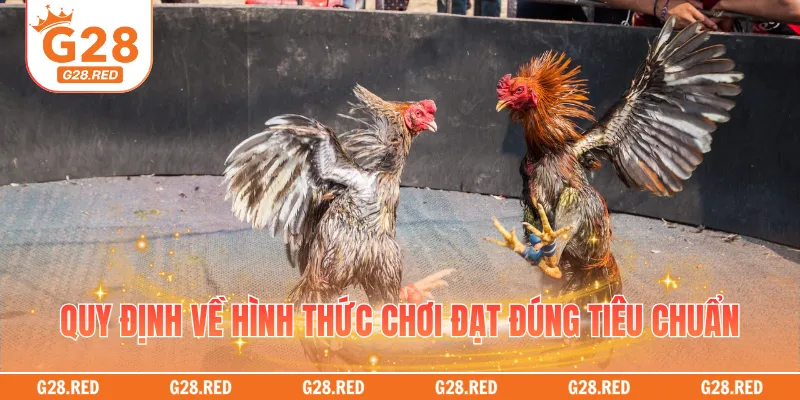 Quy định về hình thức chơi đạt đúng tiêu chuẩn