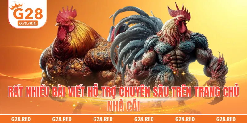 Rất nhiều bài viết hỗ trợ chuyên sâu trên trang chủ nhà cái