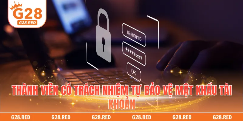 Thành viên có trách nhiệm tự bảo vệ mật khẩu tài khoản